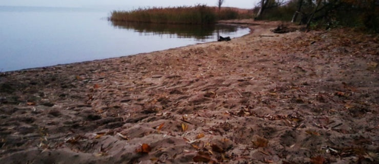 Na dzikiej plaży znaleziono ciało noworodka