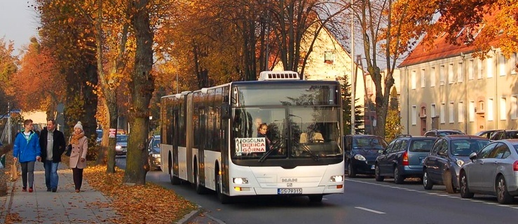 Autobusy hybrydowe bądź przegubowe w Elblągu? „To jednorazowa akcja”