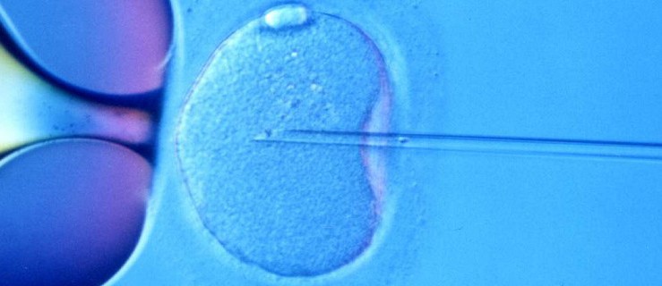 Zielone światło dla par chcących skorzystać z zapłodnienia in vitro