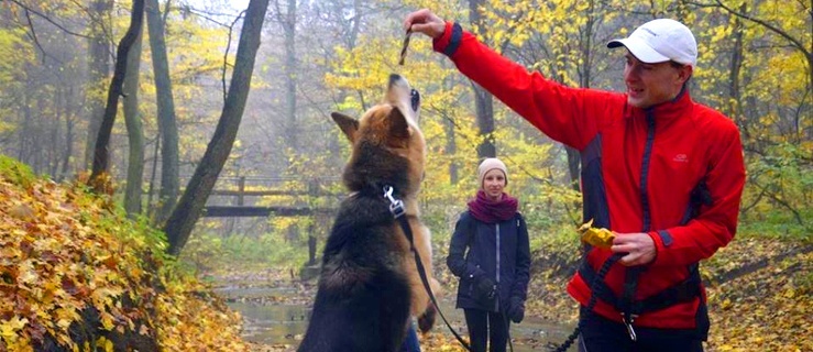 Pobiegną w świątecznym klimacie na sześć łap