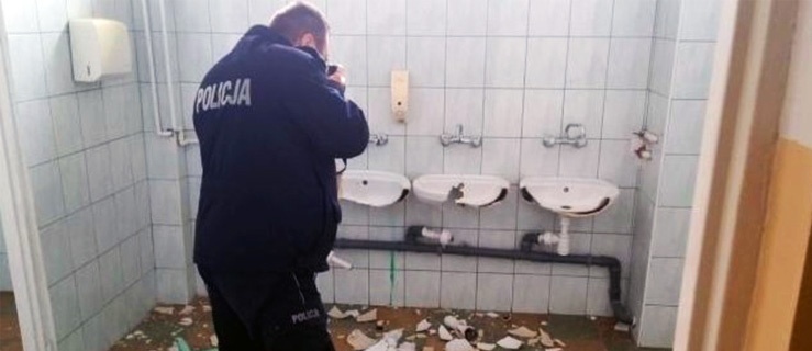 16- i 19-latek zdemolowali szkołę i zniszczyli ponad 20 samochodów