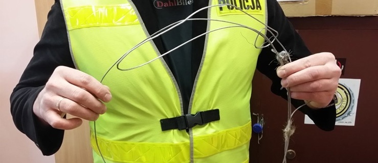 Policjanci uratowali sarnę z pułapki kłusownika 