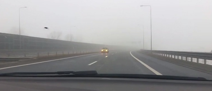 Jechała pod prąd na zamglonej ekspresówce