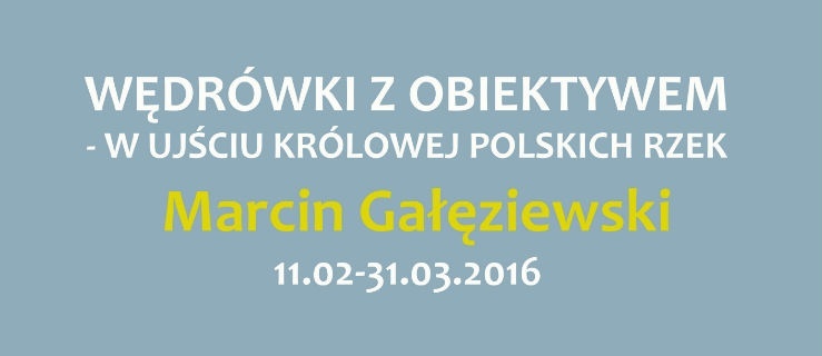 Przyroda w obiektywie  Marcina Gałęziewskiego