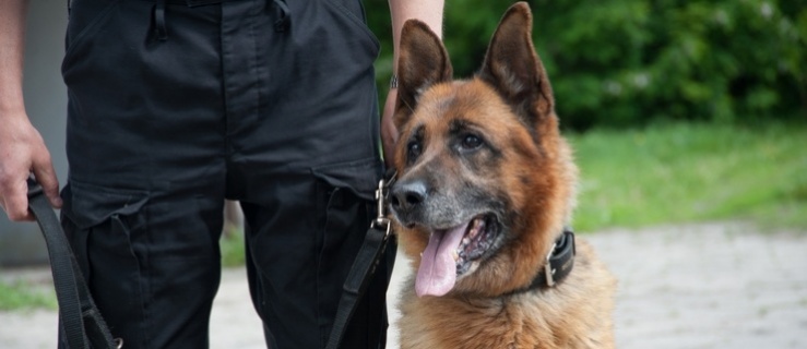 Wspólne szkolenie Policji i Straży Granicznej