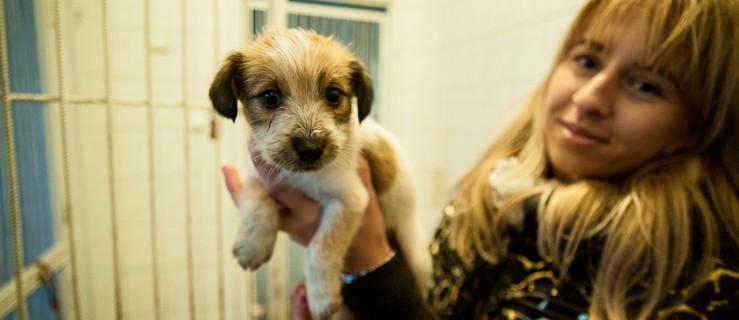 Wyrywają zwierzęta z rąk śmierci: Inspektorzy elbląskiego oddziału OTOZ ANIMALS