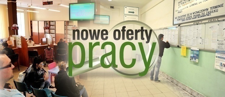 Aktualne oferty pracy 
