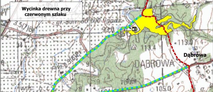 Uwaga na wycinkę drzew w Bażantarni