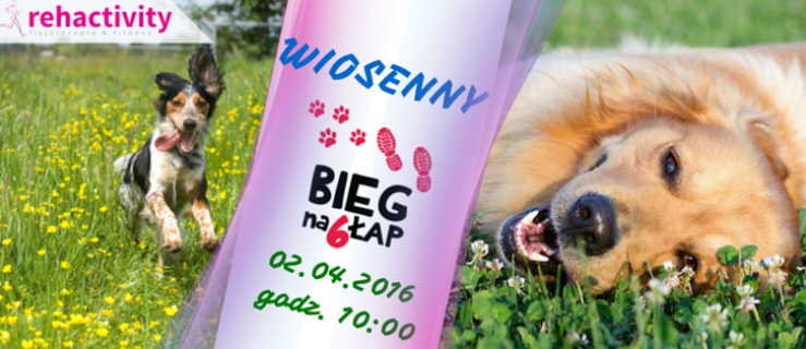 Wiosenny Bieg na Sześć Łap