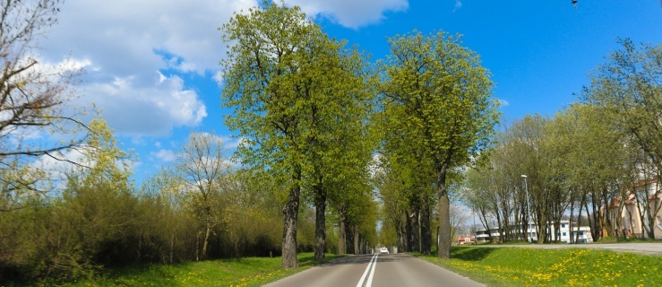 Sprawdźcie szczegółową prognozę na długi weekend