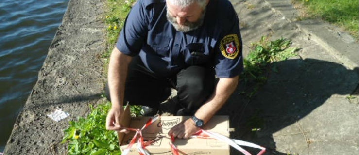 Strażnicy miejscy na pomoc zwierzętom