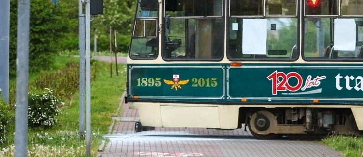 Zostań dyrektorem elbląskich tramwajów