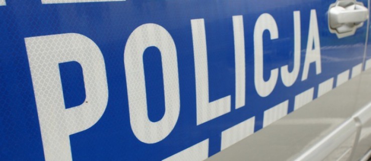 Tolkmicko. Zatrzymano kierowcę z 2 promilami