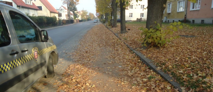 Kto posprząta te liście?