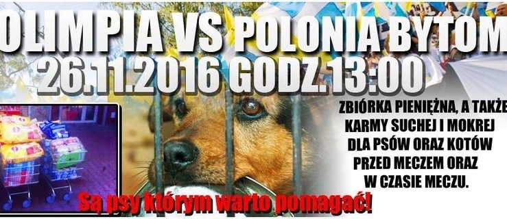 Zbiórka dla schroniska