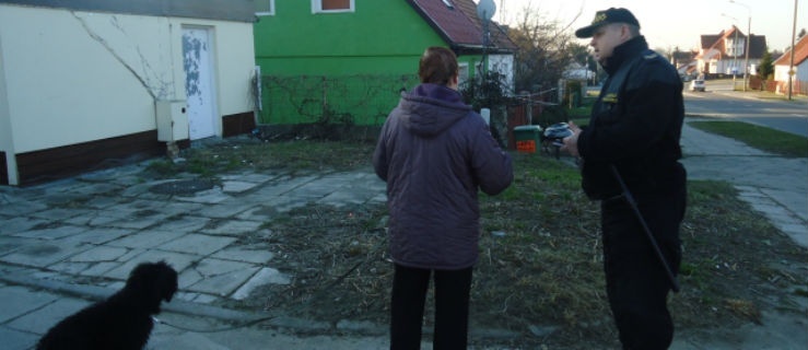 Obowiązki właścicieli zwierząt domowych