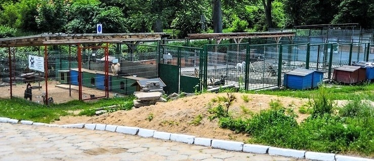 Kto zaadaptuje nowe wybiegi psiarni w schronisku?