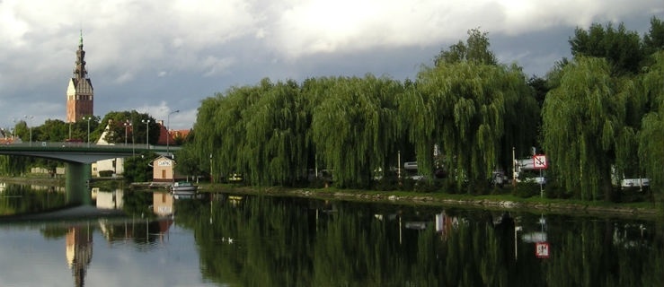 Tytuł 