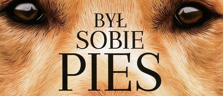 „Był sobie pies” w kinach sieci Multikino