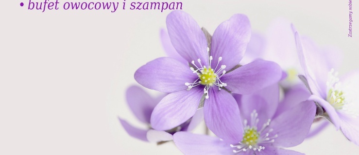 Świętuj z nami Dzień Kobiet w 