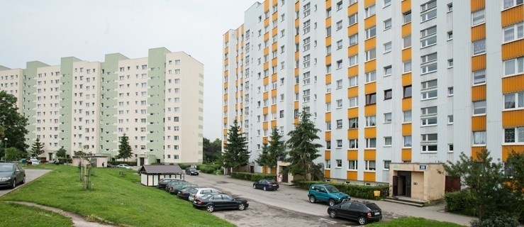 Siedem świerków uratowali od wycinki mieszkańcy ulicy Wiejskiej 