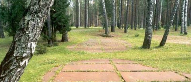 Las katyński