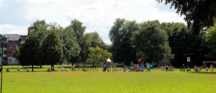 Park przy Mickiewicza otrzyma imię generała Nieczuja-Ostrowskiego?