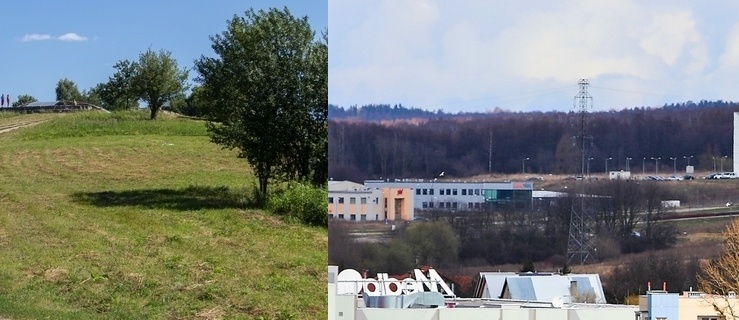 Tereny Gęsiej Góry / Tereny Modrzewiny