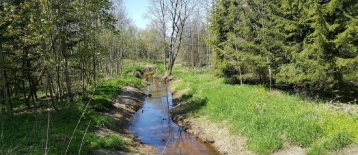 Mniej wody w braniewskich rzekach (+ zdjęcia)