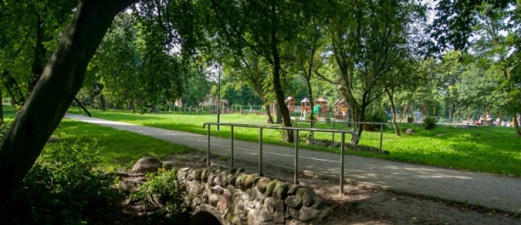 Bażantarnia, Park Kajki, a może inne miejsca – ulubione miejsca spacerów w Elblągu
