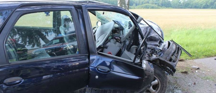 Gmina Braniewo. Kobieta, kierująca renault uderzyła w drzewo 