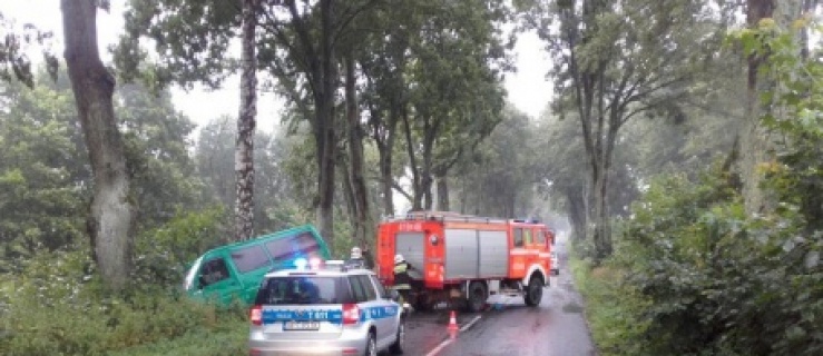 Pod Braniewem seat wjechał pod busa