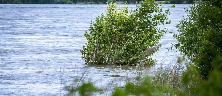 Gmina Elbląg. Straty po powodzi sięgają dwóch milionów zł. Zniszczone drogi, most, domy i przepusty  