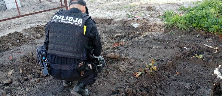 Elbląg. Znaleźli granat moździerzowy z II wojny światowej przy ul. Kwiatowej. Ewakuowano mieszkańców 
