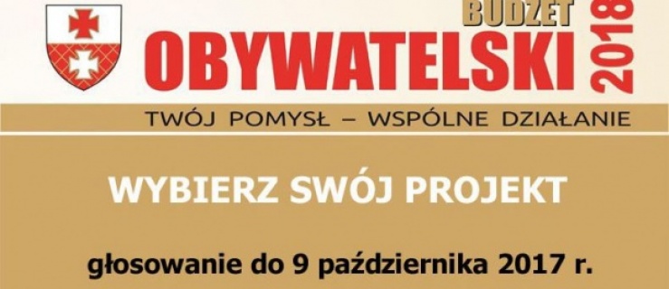 Elbląg: Budżet Obywatelski - decydujący tydzień