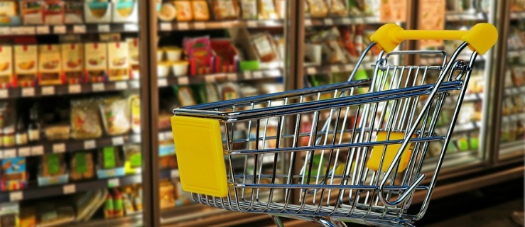 Kaufland i Lidl na celowniku poseł Pawłowicz. Polscy przedsiębiorcy szukają u niej pomocy  