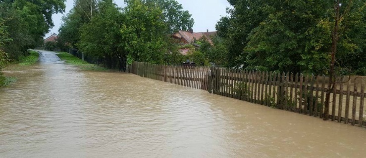 Przyczyny podtopień: fatalny stan rowów melioracyjnych i inne zaniedbania  
