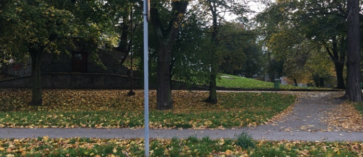 Elbląg. Jesienne obowiązki właścicieli nieruchomości