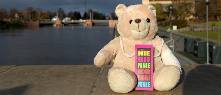 Misie tu, misie tam. 