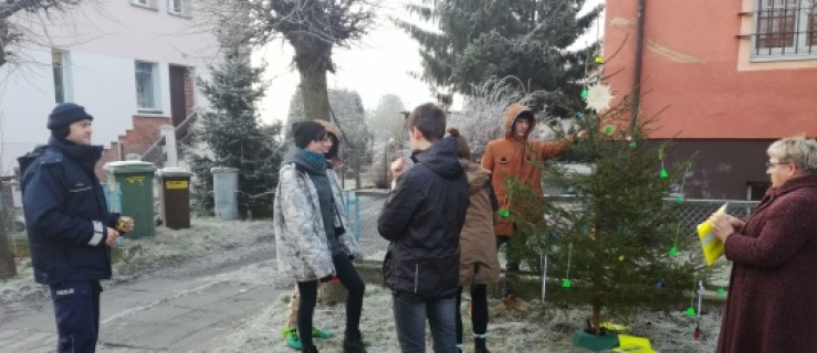 Podsumowanie akcji „Rozbierz z nami choinkę”
