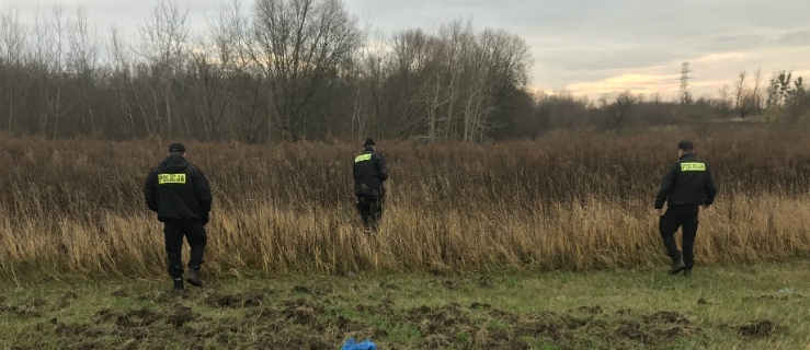 Elbląg: Szukali zaginionego mężczyzny i znaleźli go 3 km od auta
