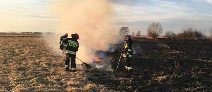 Powiat braniewski. Pożary traw i zagrożone życie ludzi i zwierząt 