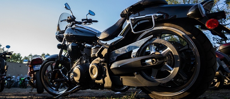 I Elbląskie Rozpoczęcie Sezonu Motocyklowego. Kucyki i pomoc dla bezdomnych zwierząt
