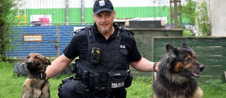 Elbląg: „Kolegów się nie zostawia!”. Policjant z Elbląga zaadoptował służbowego owczarka