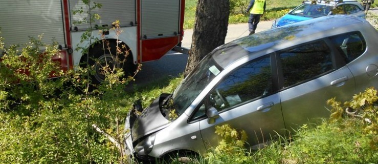 Powiat  braniewski. Nie zabił sarny i uderzył w drzewo 