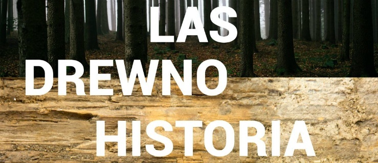 Plenerowa wystawa 