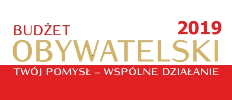 Ostatni dzwonek. Wnioski do BO można składać do 15 czerwca. Co hamuje elblążan?