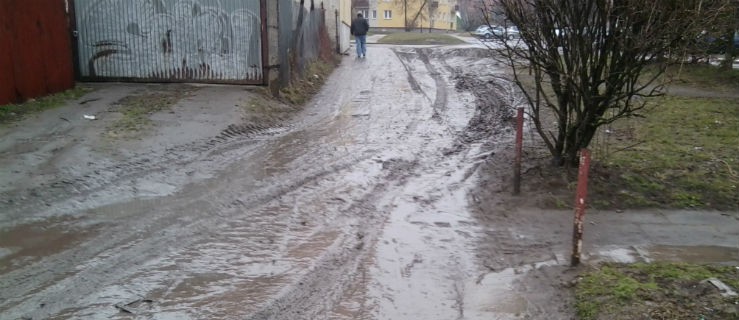 zdjęcie nadesłane