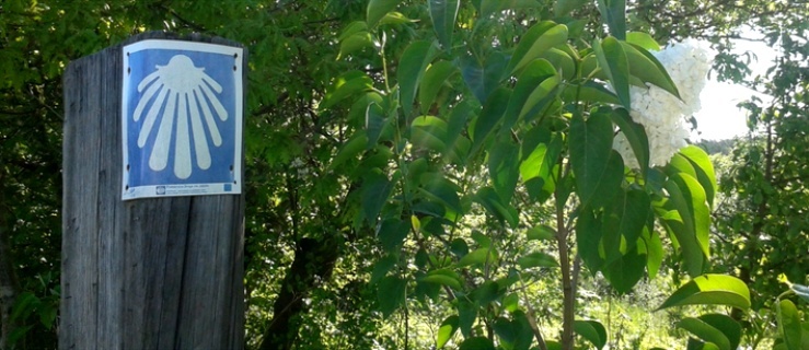 Powędrują z Tolkmicka do Próchnika. Przyjaciele Pomorskiej Drogi św. Jakuba zapraszają