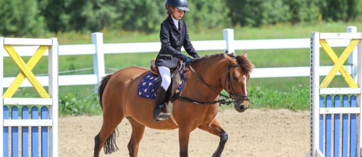 Żółte zawody z cyklu PONY CUP 2018 w Milejewie za Nami! (+zdjęcia)